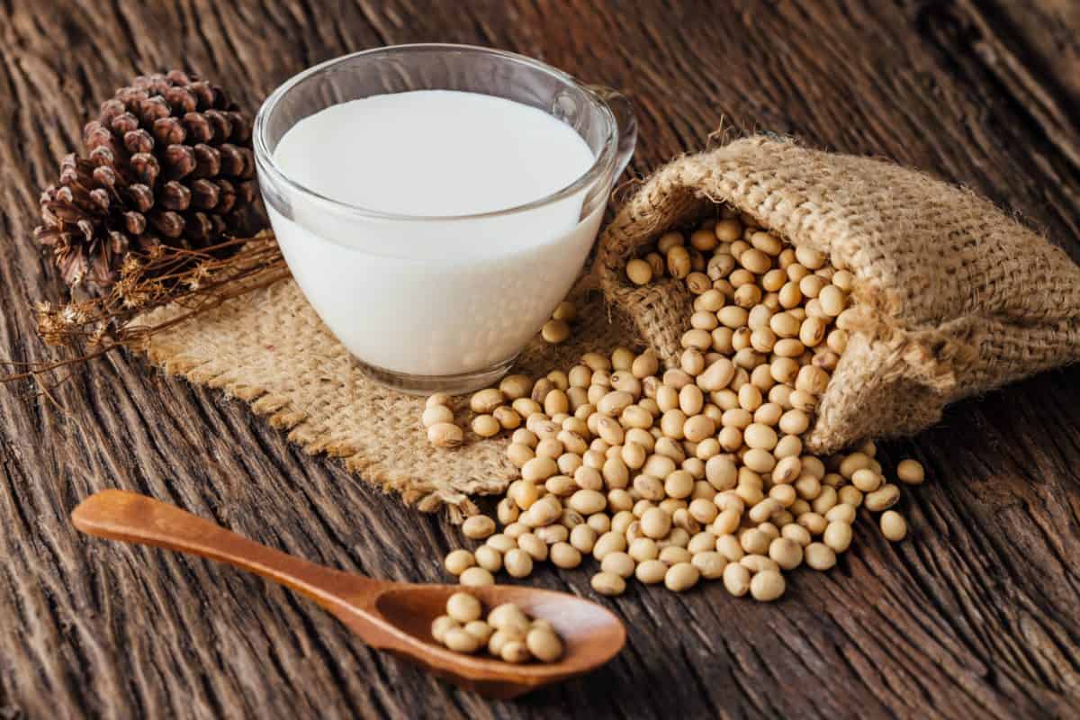 How Long Does Soy Milk Last? Feed Family For Less