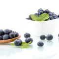 can-blueberries-be-frozen