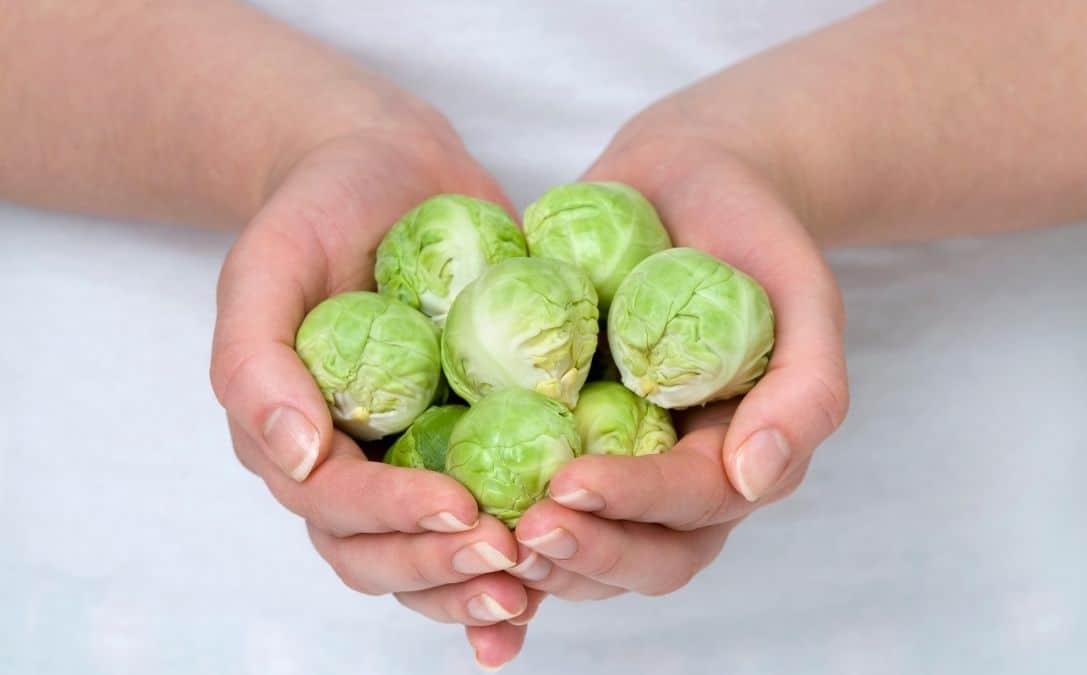Can You Freeze Fresh Brussel Sprouts | Feed Family For Less