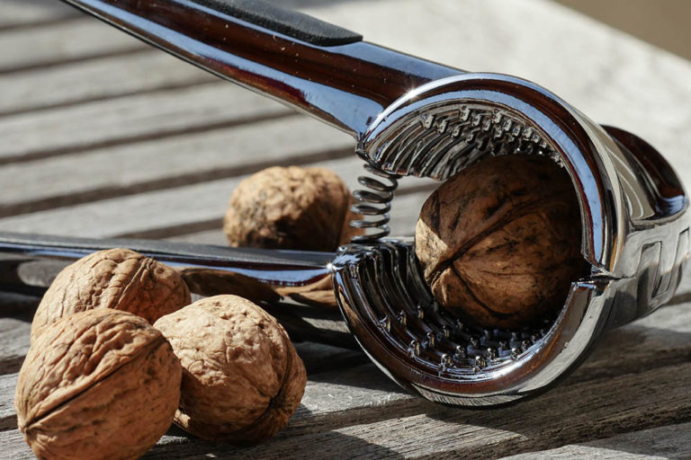 Best Nut Cracker Feed Family For Less