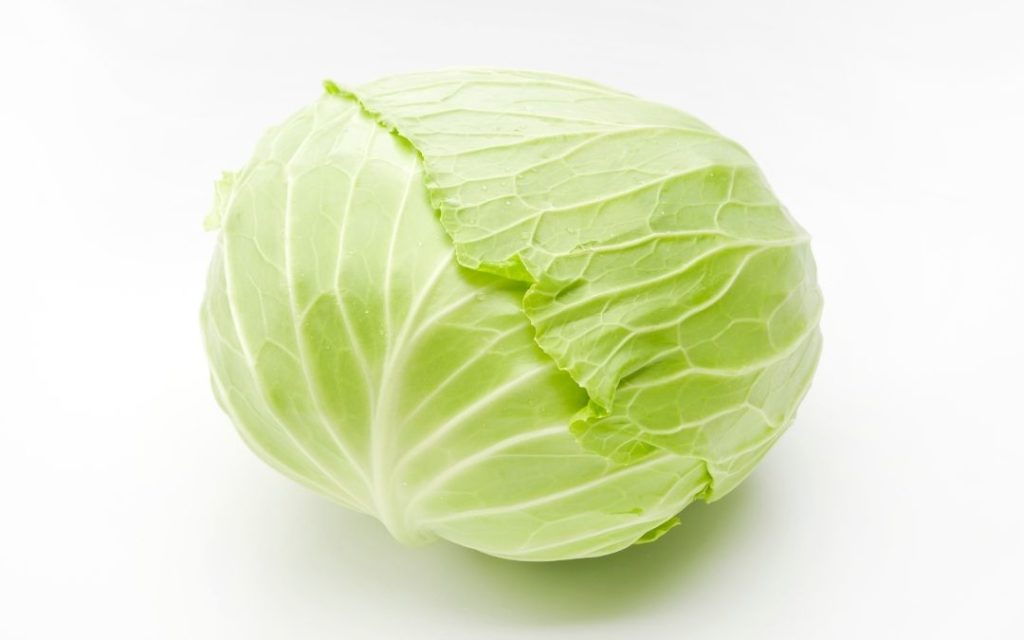 How to Freeze Cabbage - It's a Veg World After All®