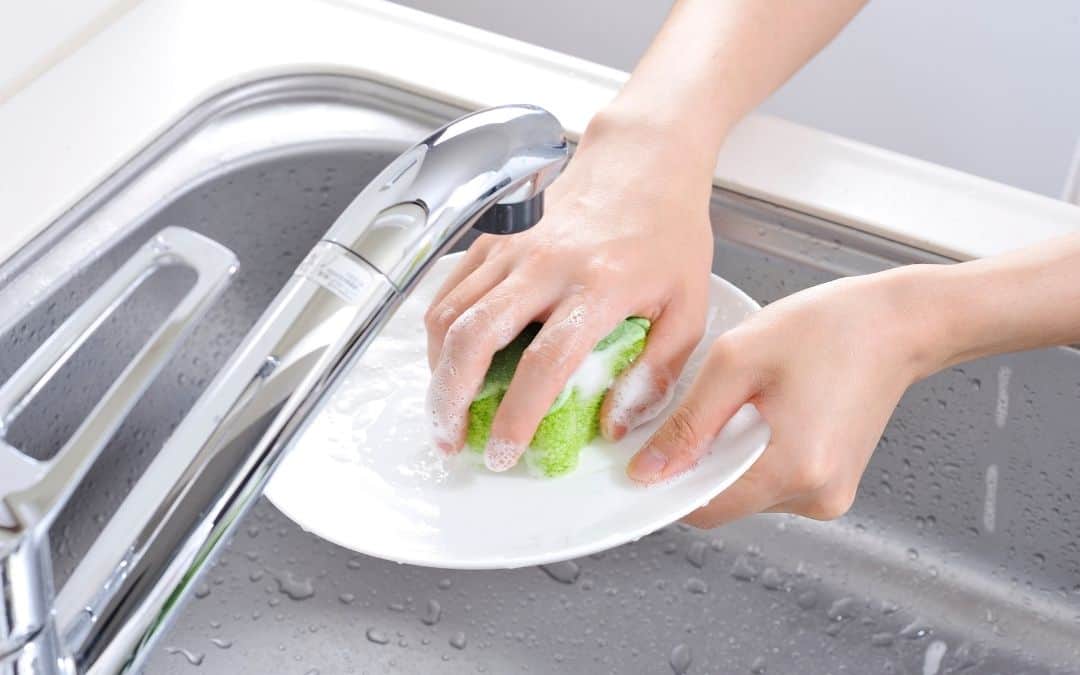 Can You Use Hand Soap to Wash Dishes? Feed Family For Less
