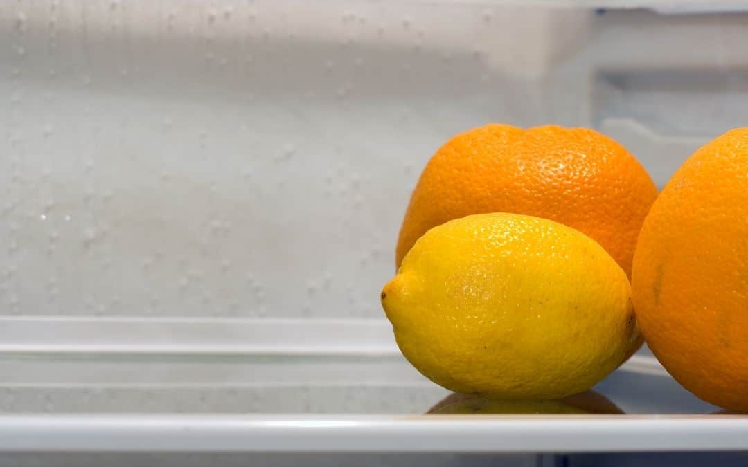 How Much Does A Mini Fridge Cost To Run? Feed Family For Less