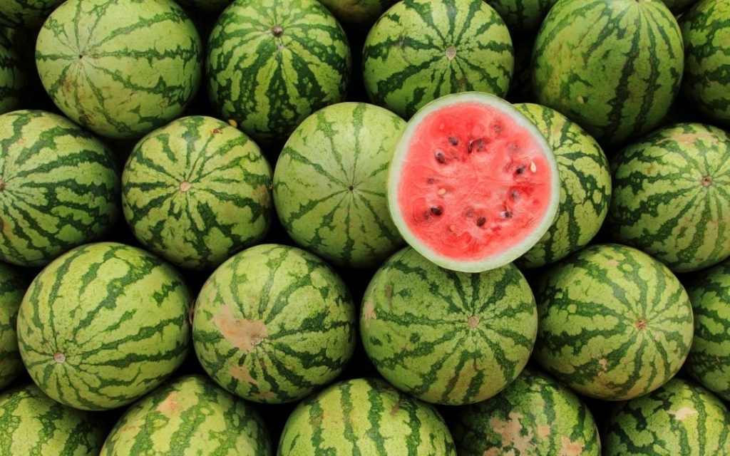 How Long Does An Uncut Watermelon Last