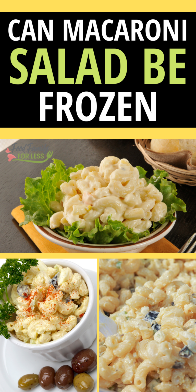 Can Macaroni Salad Be Frozen? Feed Family For Less