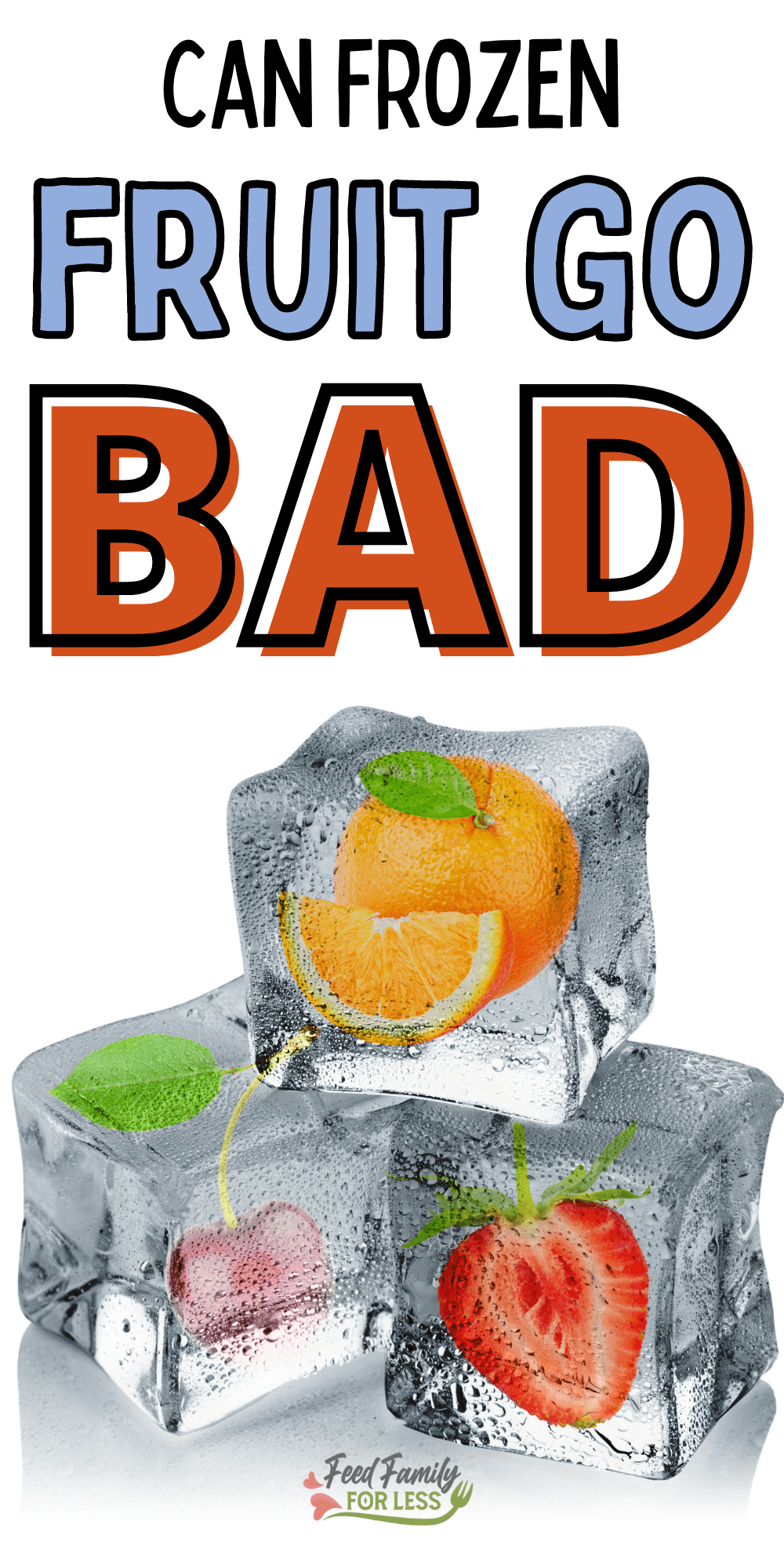 Can Frozen Fruit Go Bad? Feed Family For Less