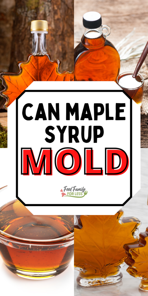 Can Maple Syrup Mold Feed Family For Less