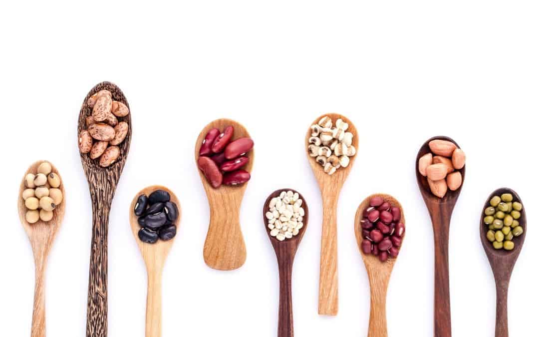 How Long Do Beans Last In The Fridge? Feed Family For Less