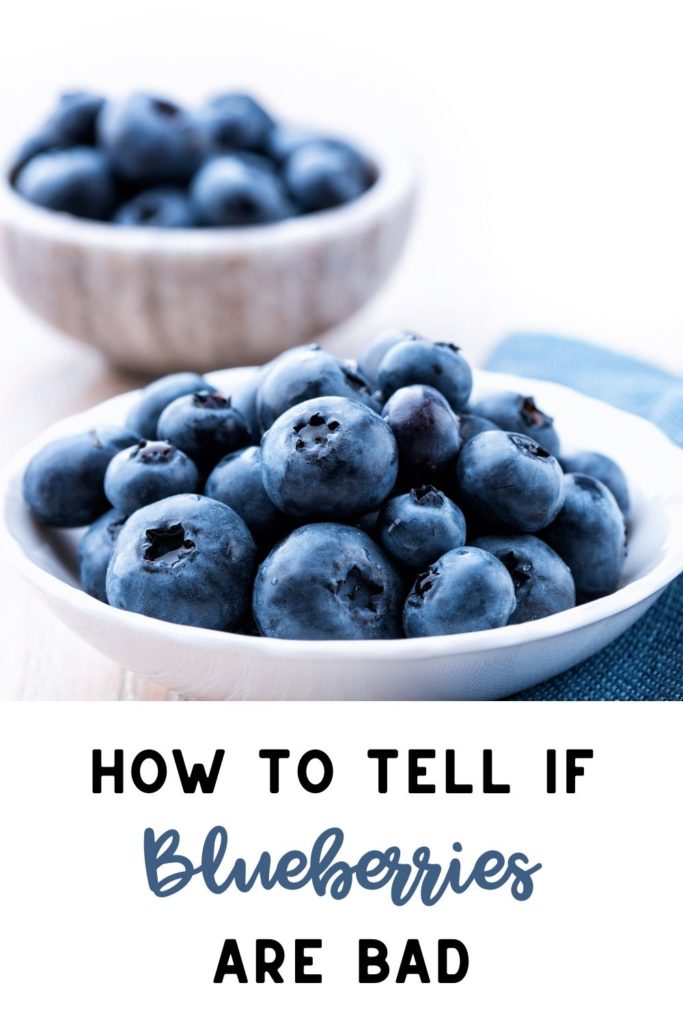 How To Tell If Blueberries Are Bad