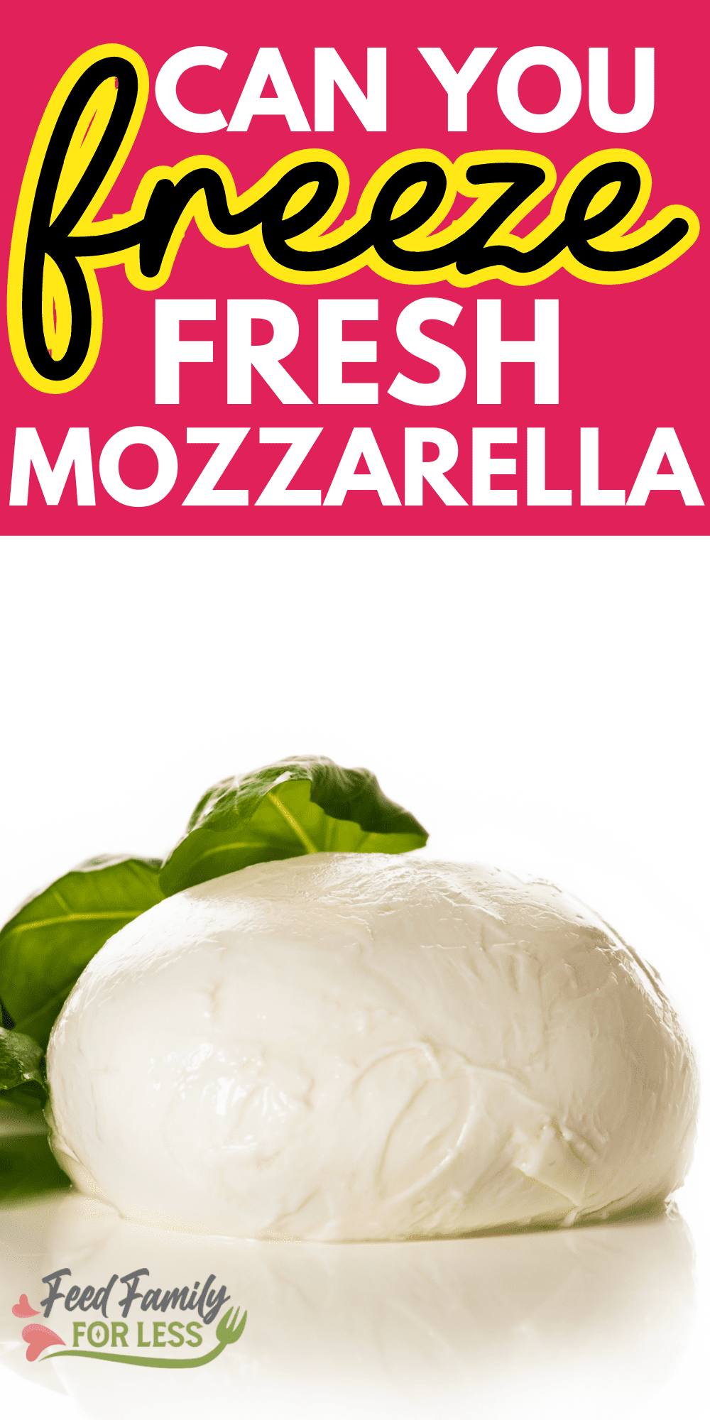 Can You Freeze Fresh Mozzarella Feed Family For Less