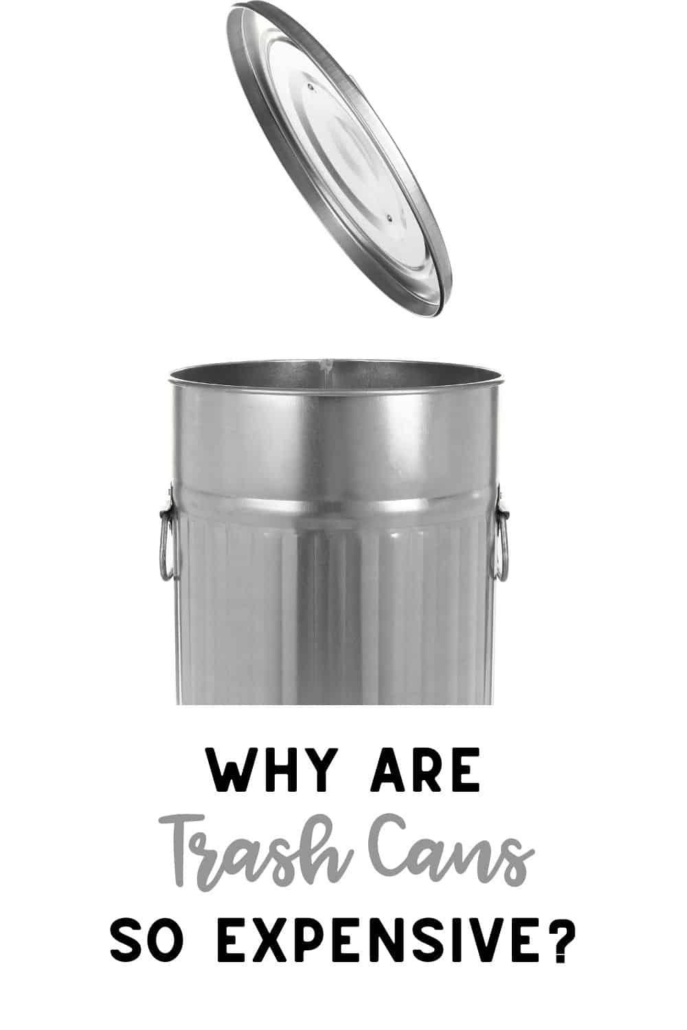 Why Are Trash Cans So Expensive? Feed Family For Less