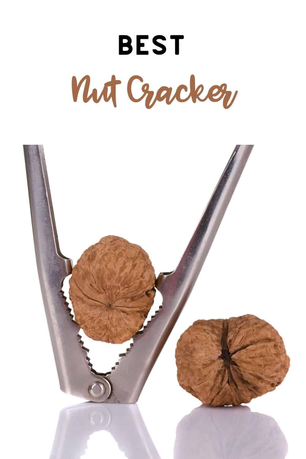 Best Nut Cracker Feed Family For Less