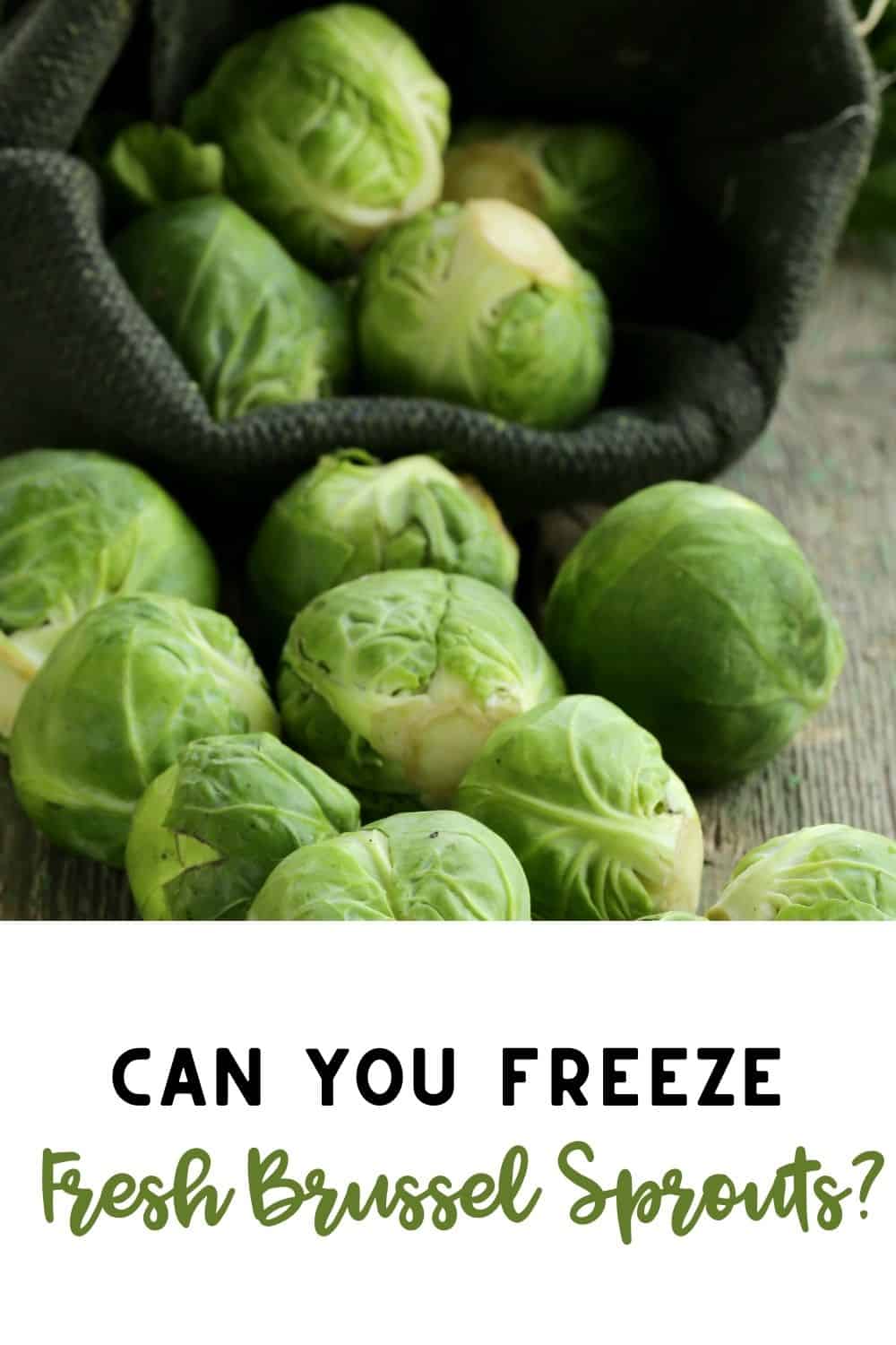Can You Freeze Fresh Brussel Sprouts Feed Family For Less