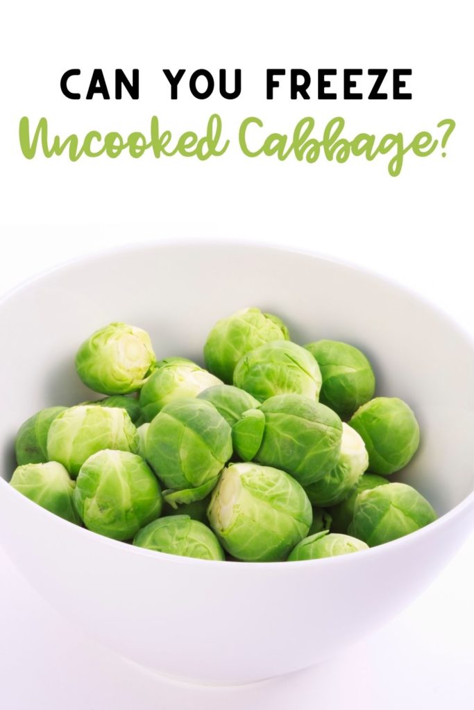 can you freeze uncooked cabbage