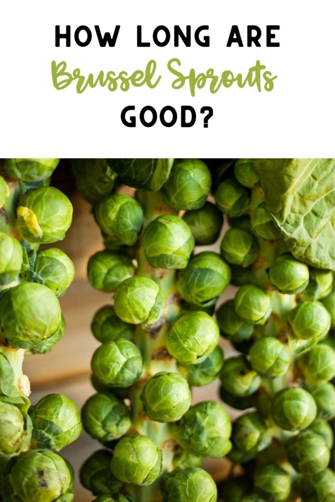 how long are brussel sprouts good